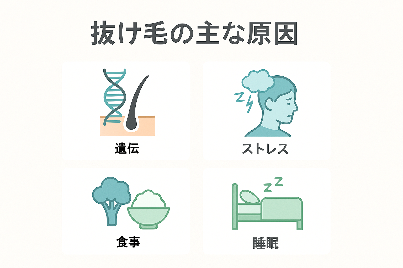 抜け毛の関係図